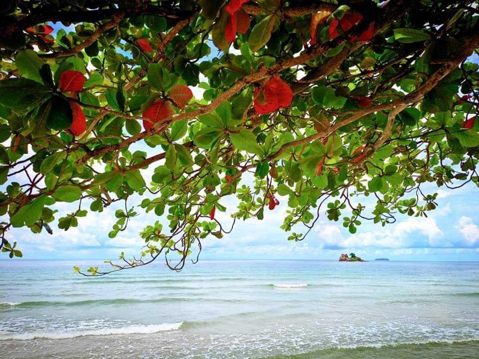 ทีพักติดหาดแหลม​แม่พิมพ์​Mantra Condo​ Rayong​ Ban Ang Kültér fotó